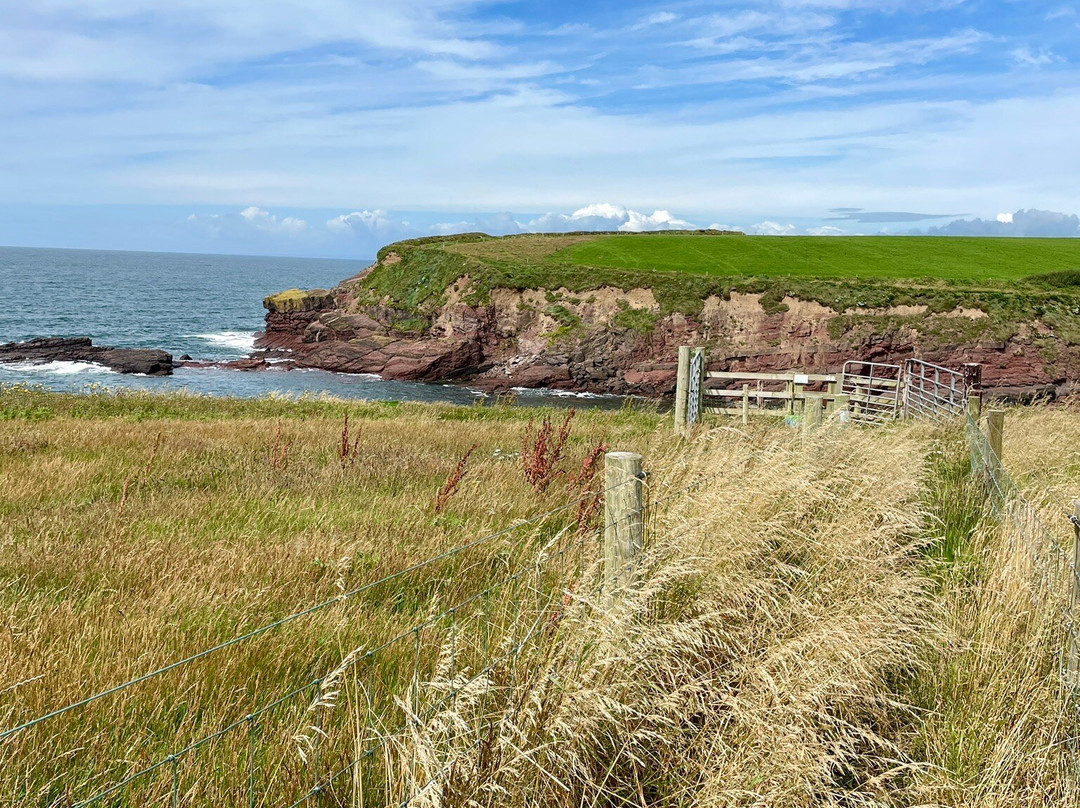 Dunmore East Coastal Walk-Dunmore必去景点