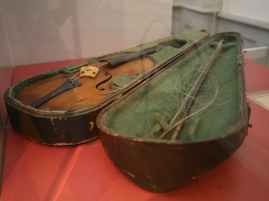 Musee Rouget de Lisle景点图片
