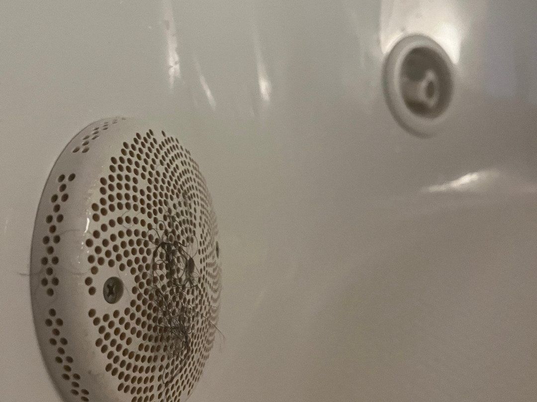 Radisson Hotel River Falls主图