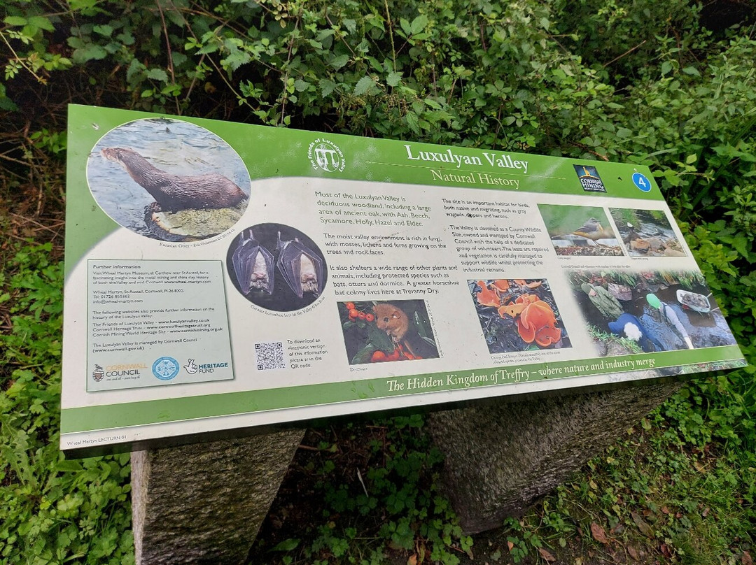 Luxulyan Valley Circular Walk景点图片