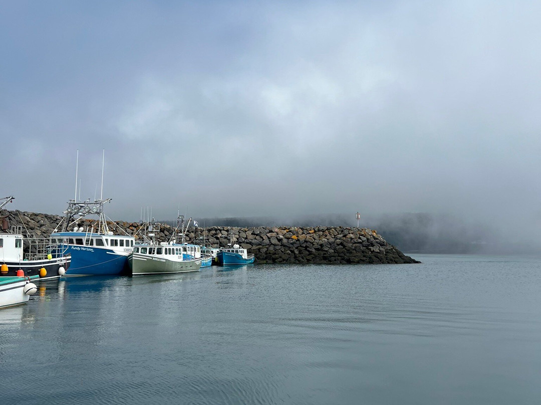 Adventure Bay Whale Watch Co.景点图片