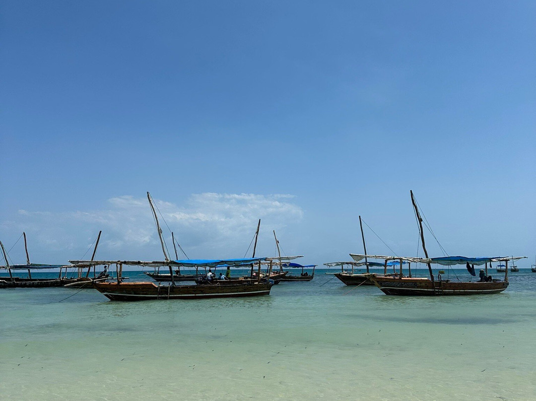 Escursioni Ronaldo-Kendwa必去景点