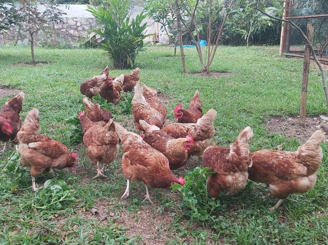 Tetebatu Tourist Village-Tetebatu必去景点