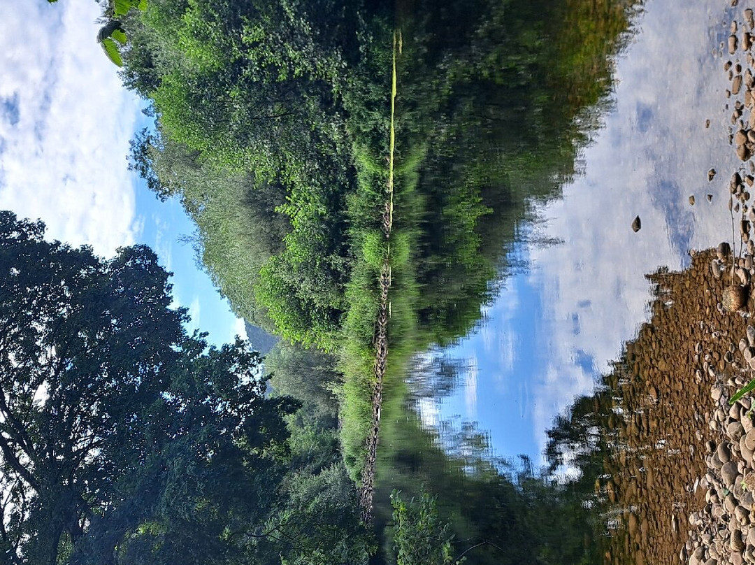 Senda Fluvial del Nansa景点图片