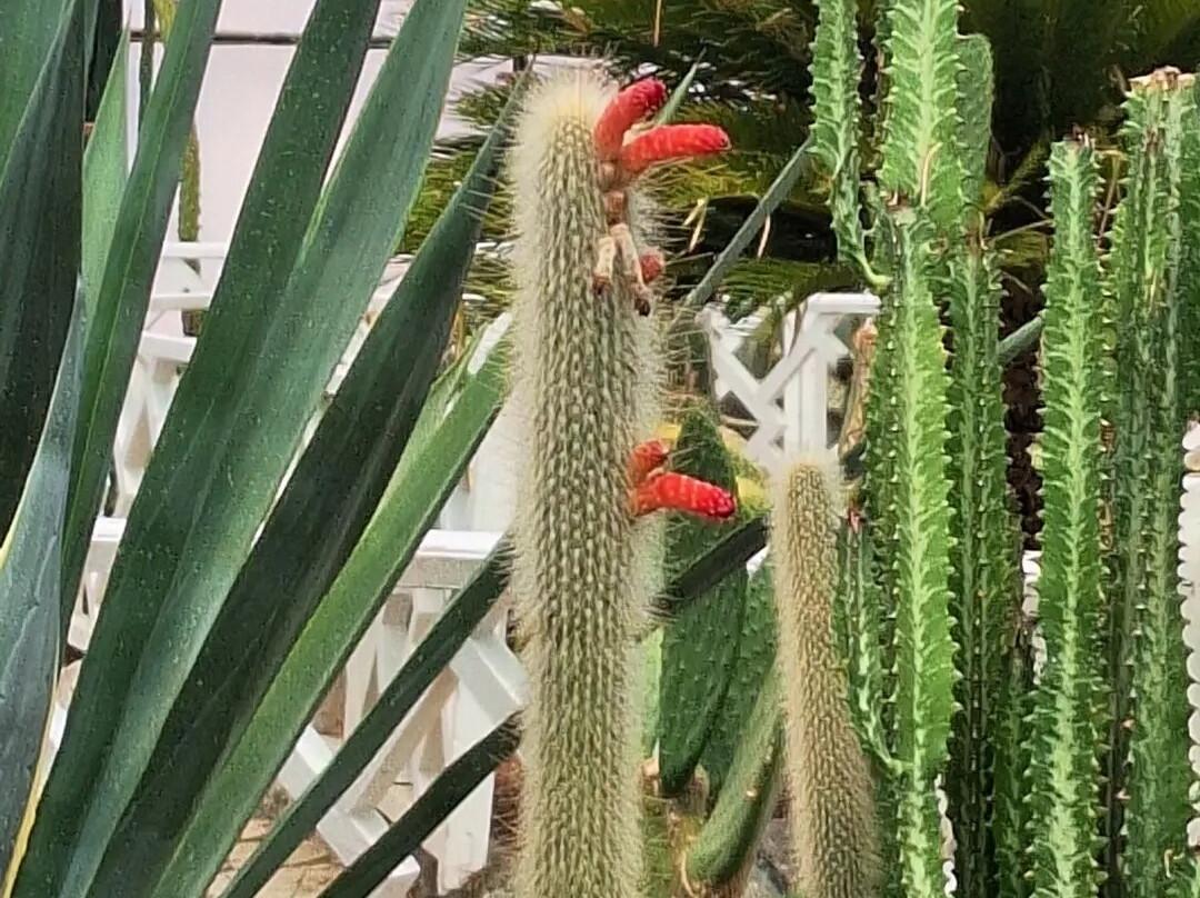 Flower Garden-Isfahan必去景点