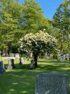 Riverside Cemetery-Yarmouth必去景点