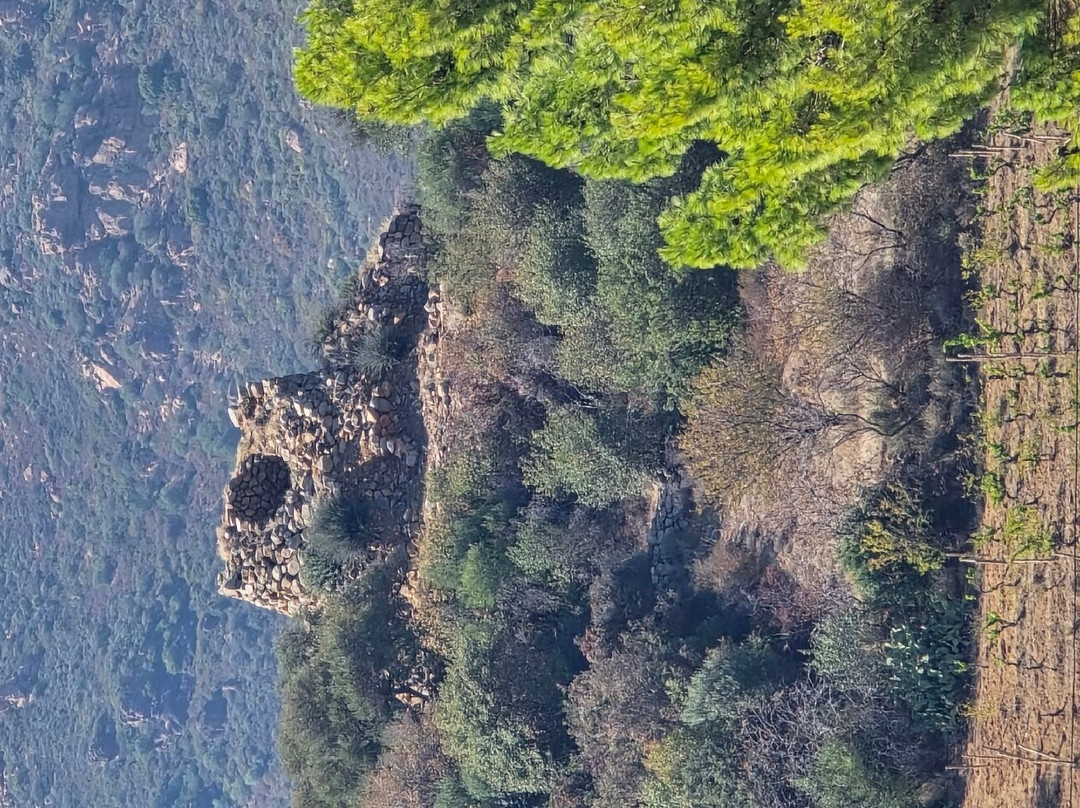 Spiaggia Foxi Manna-Marina di Tertenia必去景点