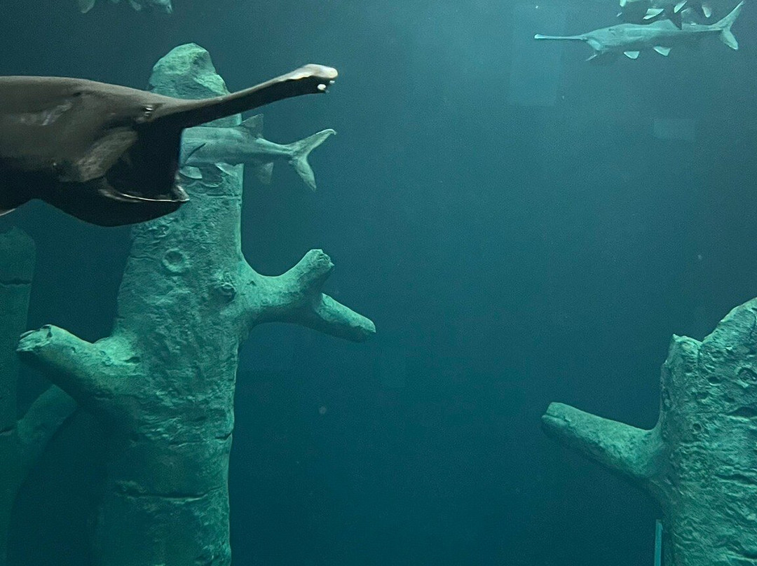AQUATIS Aquarium Vivarium Lausanne-洛桑必去景点
