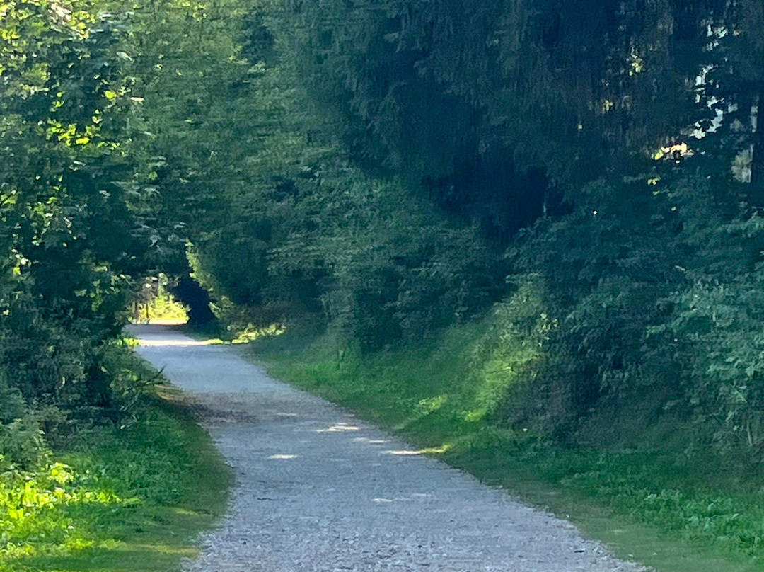 Strada Del Vecchio Trenino景点图片
