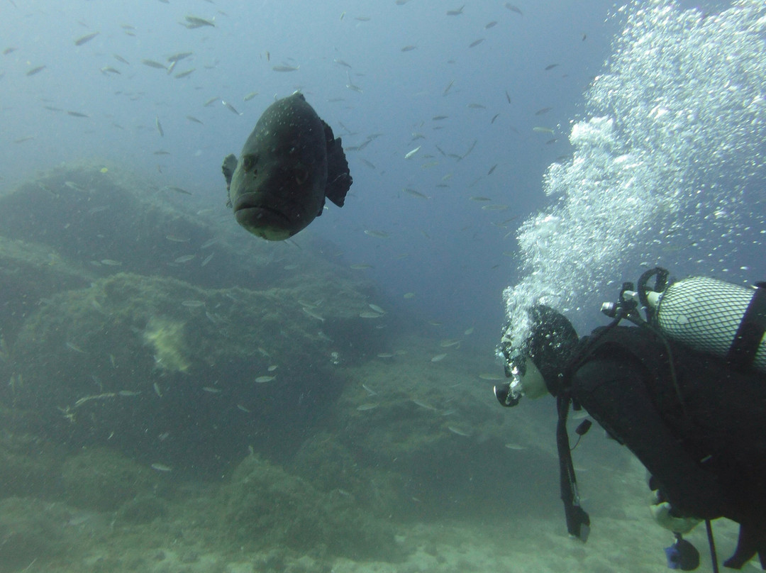 Blu Dive Center-圣特雷莎加卢拉必去景点
