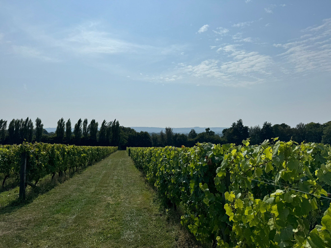 Nyetimber Vineyard-West Chiltington必去景点