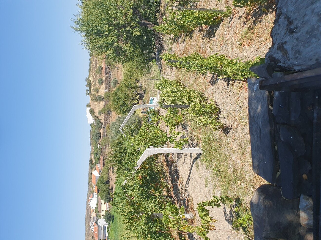 Casa dos Primos主图