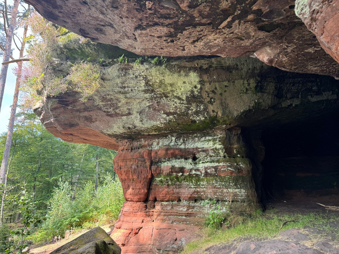 Altschlossfelsen-Eppenbrunn必去景点