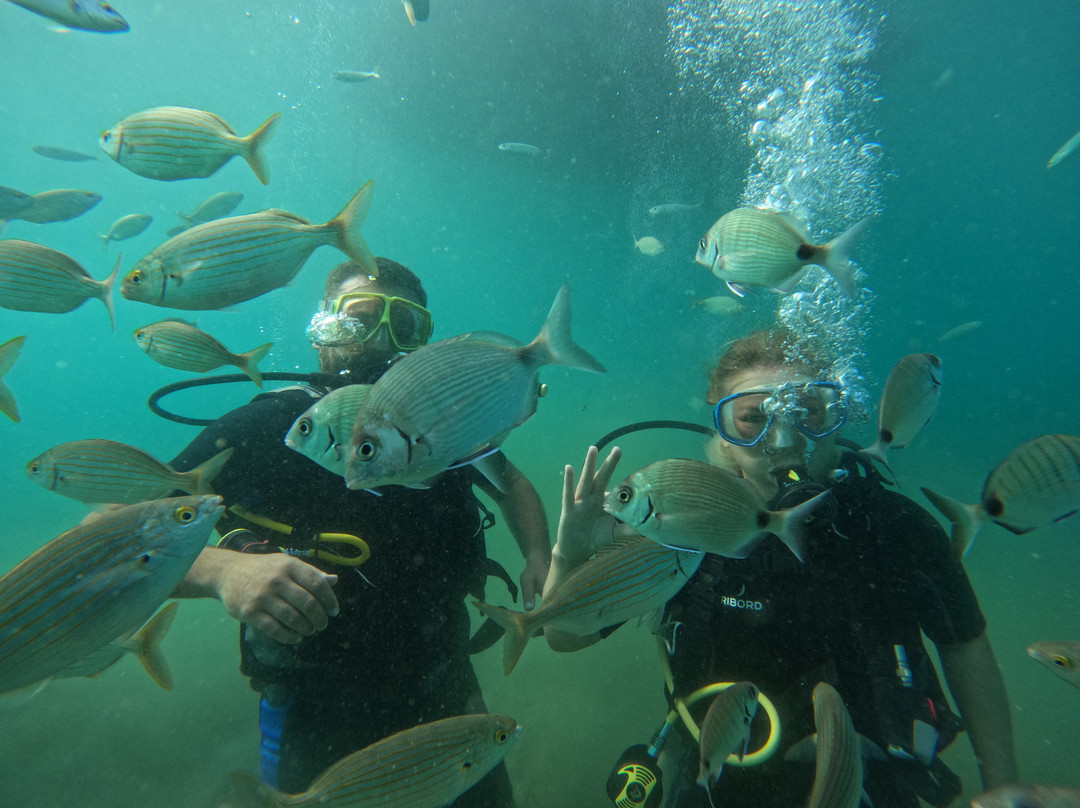 Active Blue Diving Center景点图片