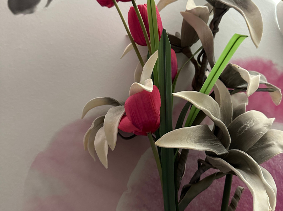 Villa L'estaque主图