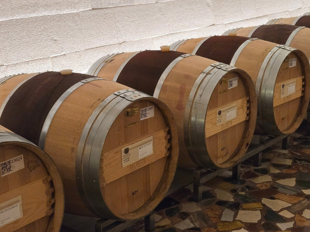 Del Dotto Estate Winery & Caves-圣海伦娜必去景点