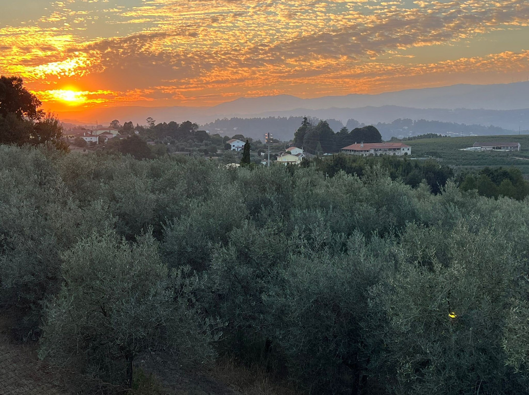 Quinta De Mocamedes主图