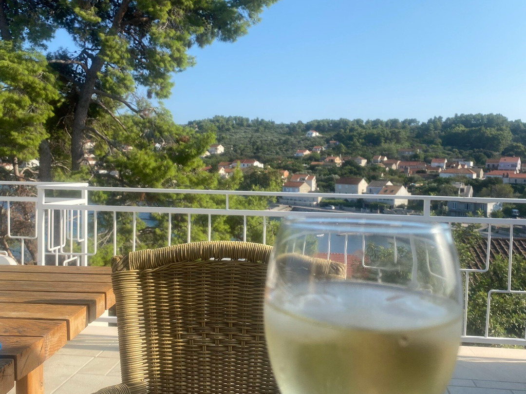 Guest House Lovric主图