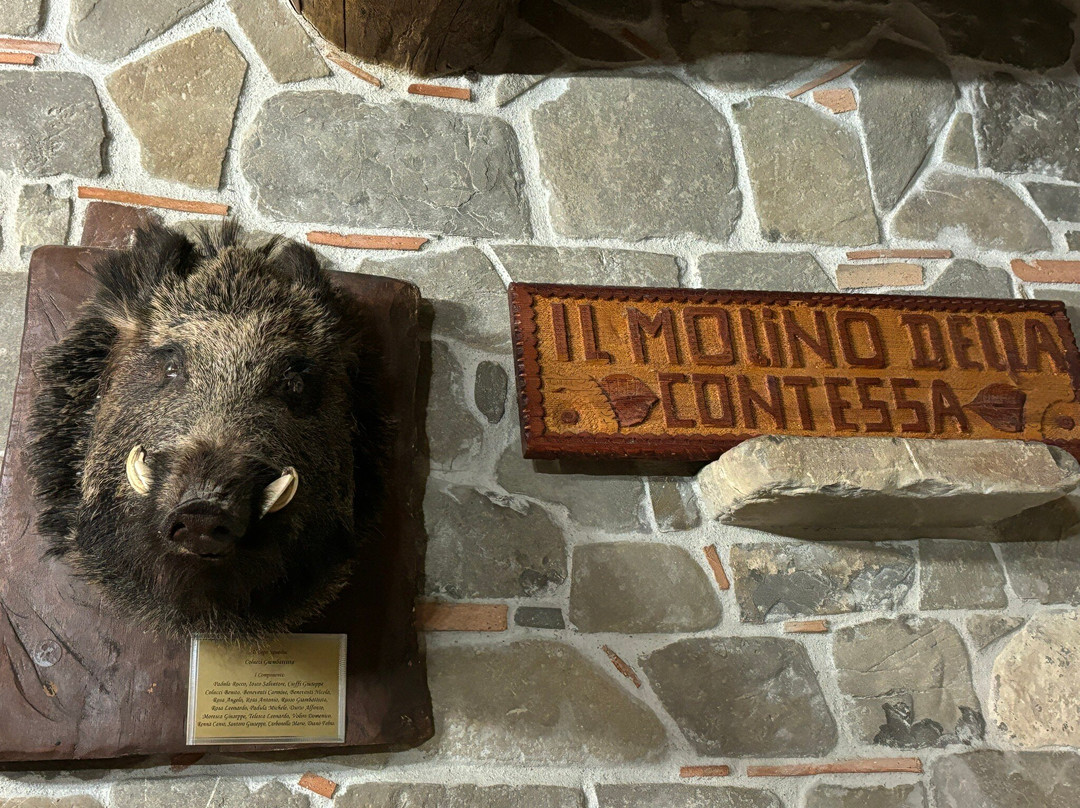 Il Molino Della Contessa主图