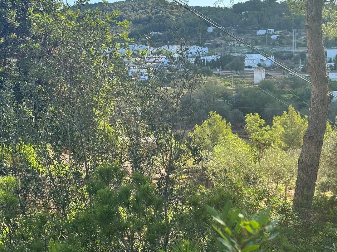 Can Curreu Hotel Rural & Spa主图