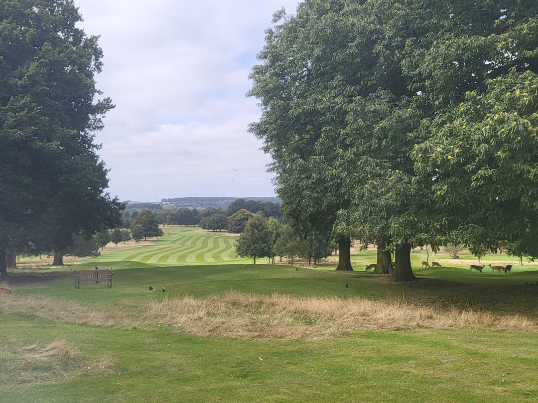 Belton Park Golf Club景点图片