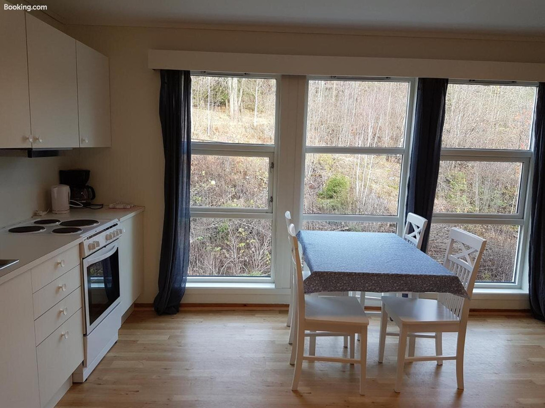 Seljord Apartment主图