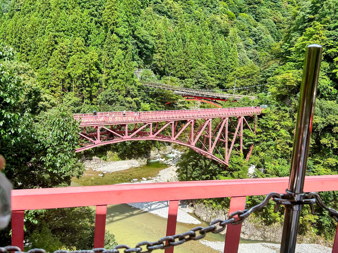Kurobe Gorge Railway景点图片
