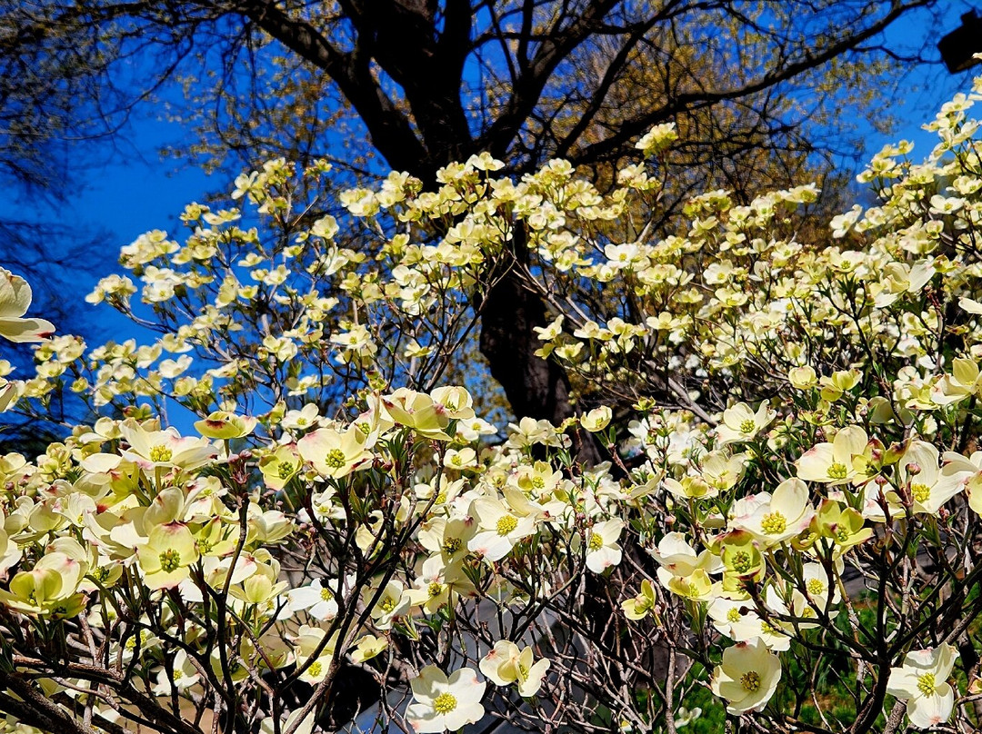 Nashville Farmers' Market-纳什维尔必去景点