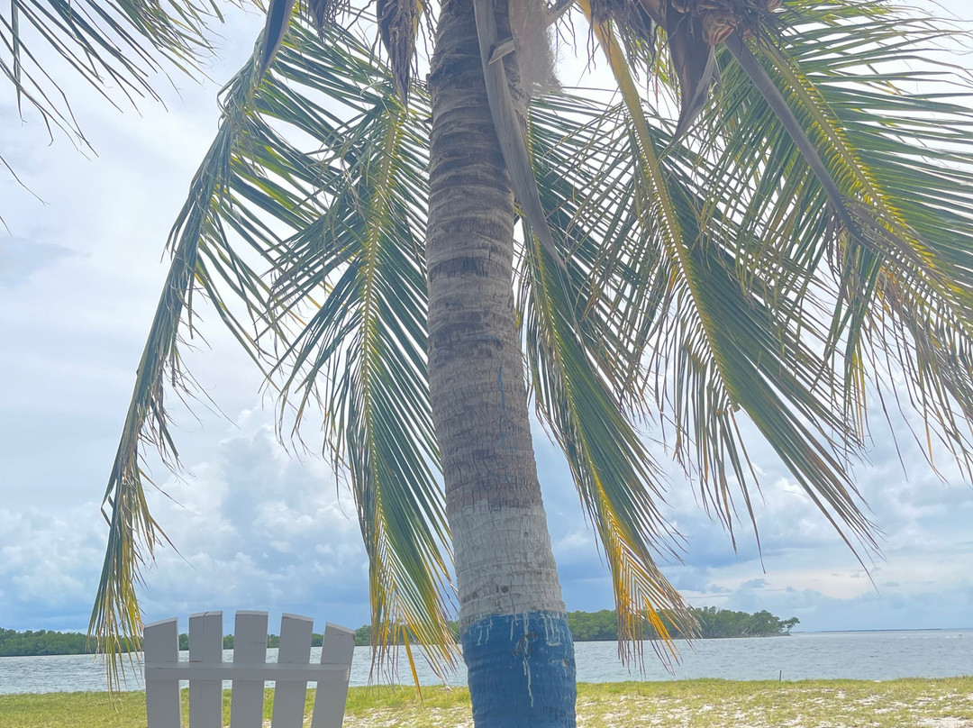 Cubatur-巴拉德罗必去景点