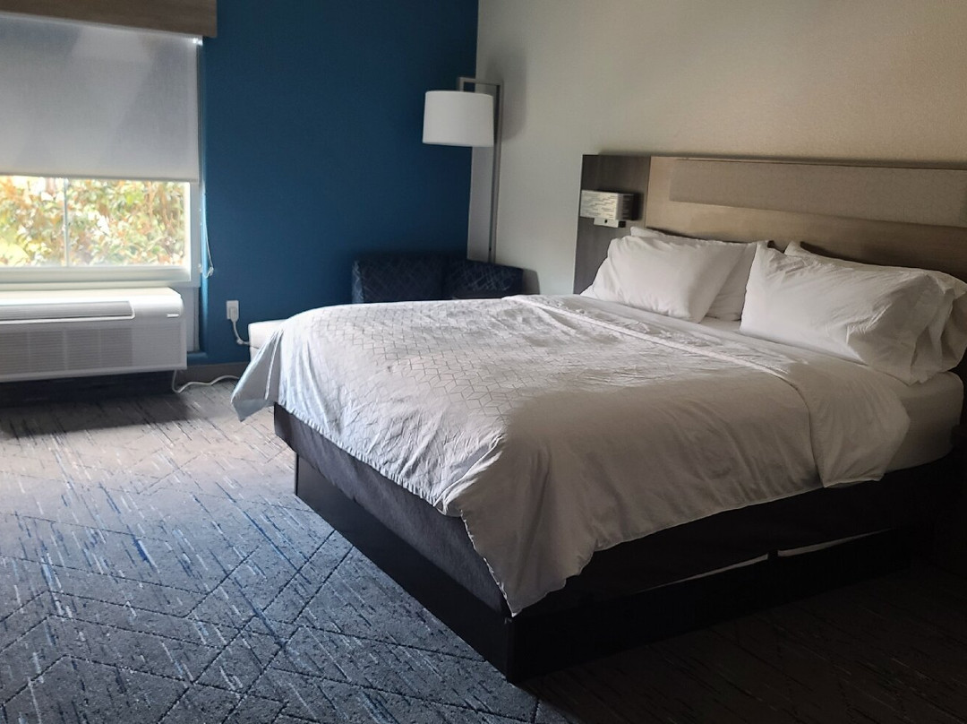 Holiday Inn Express & Suites Brady by IHG主图