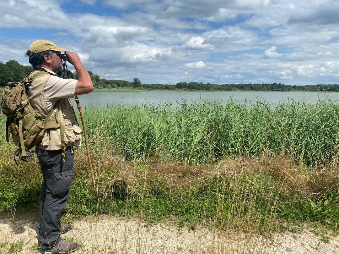 Stéphane Latourte Guide Nature-Givrauval必去景点