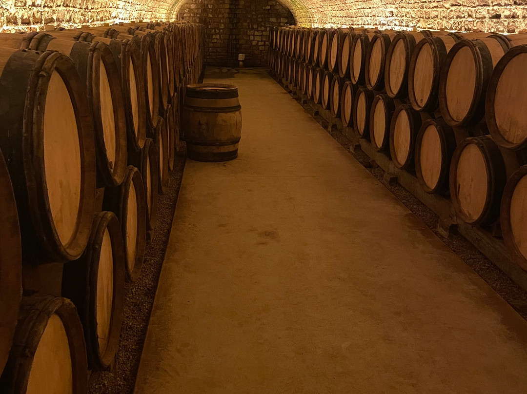 La Grande Cave de Vougeot景点图片