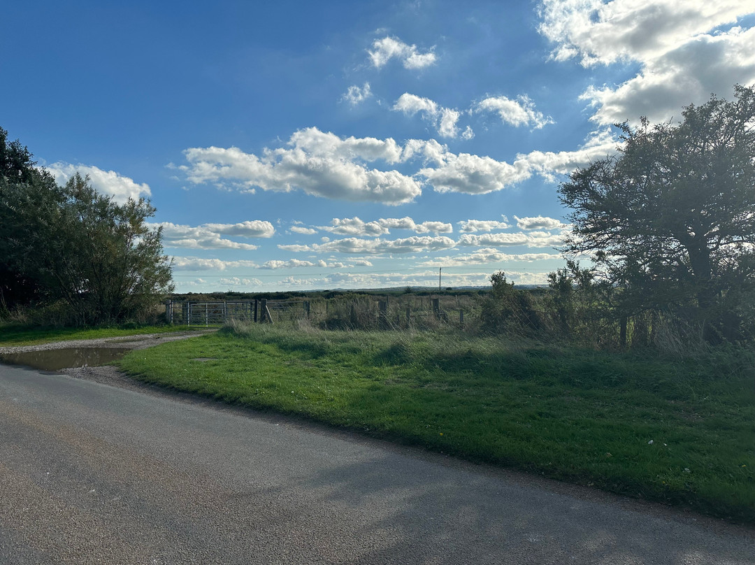 Sandwich Bay Bird Observatory-桑威治必去景点