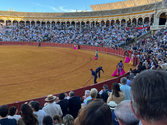 Andalucia Aficion-塞维利亚必去景点
