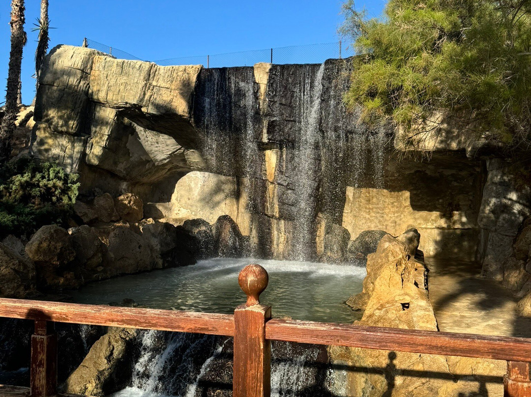 Parque El Palmeral景点图片