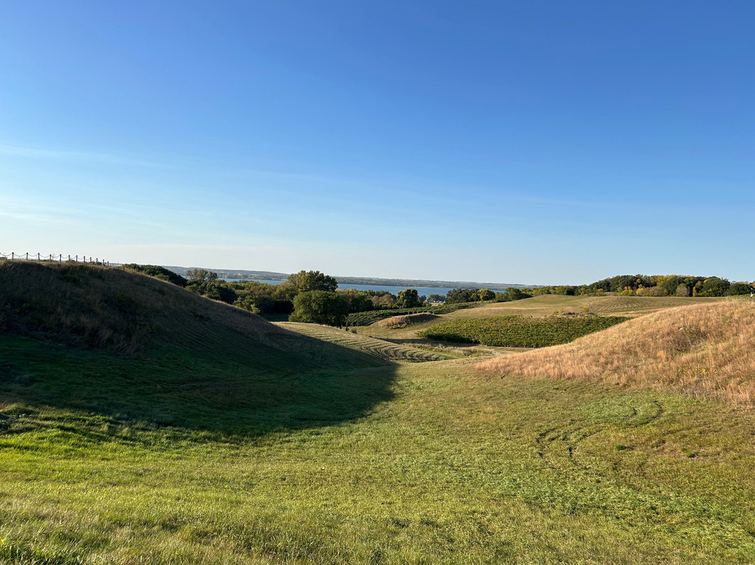 Rolling Forks Vineyards-Glenwood必去景点