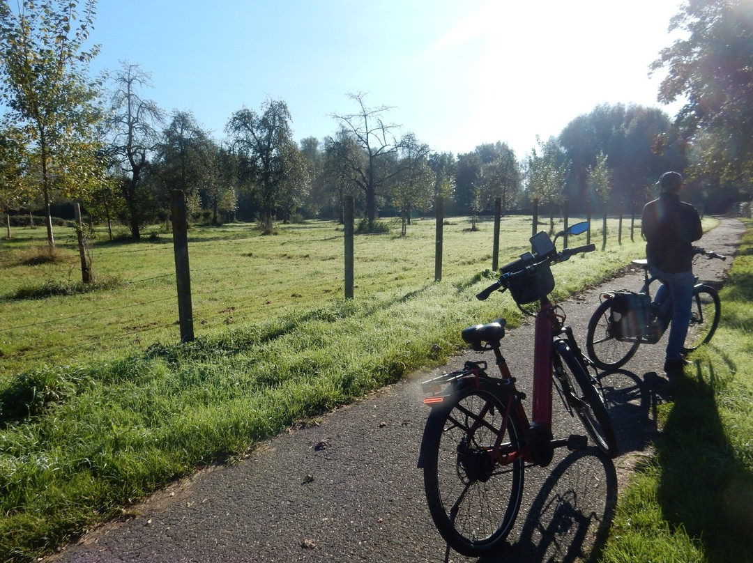 Café Coureur Borgloon