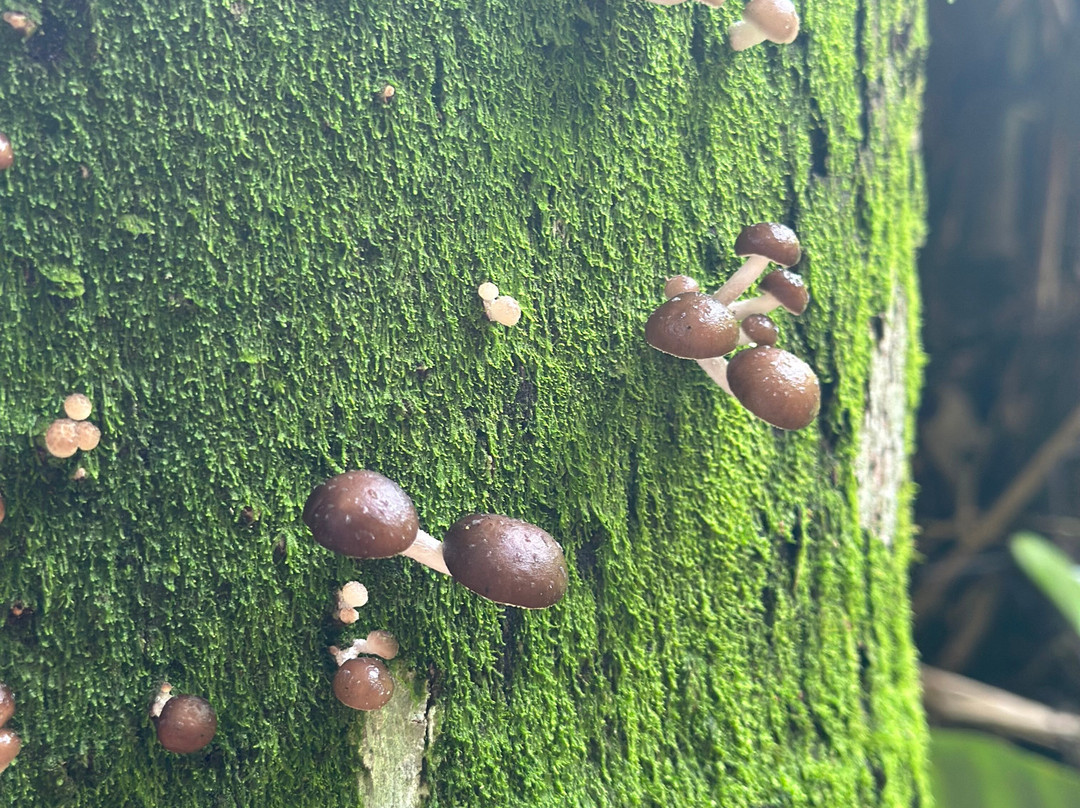 Eco Hotel Los Lagos主图