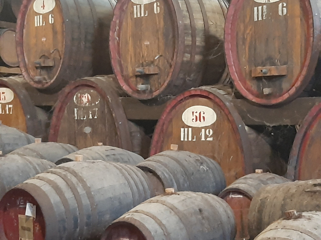 Azienda Vinicola Contini-卡布拉斯必去景点