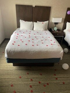 Hampton Inn & Suites By Hilton Halifax - Dartmouth主图