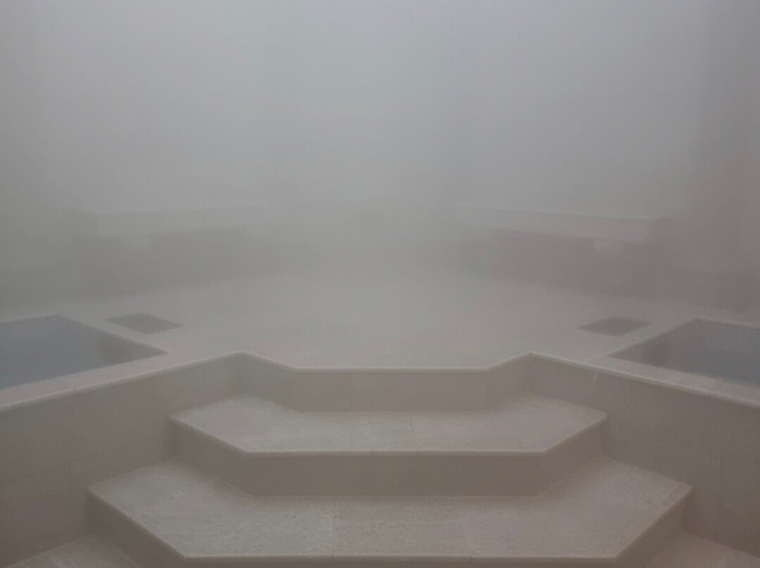 Terme Ilidza景点图片