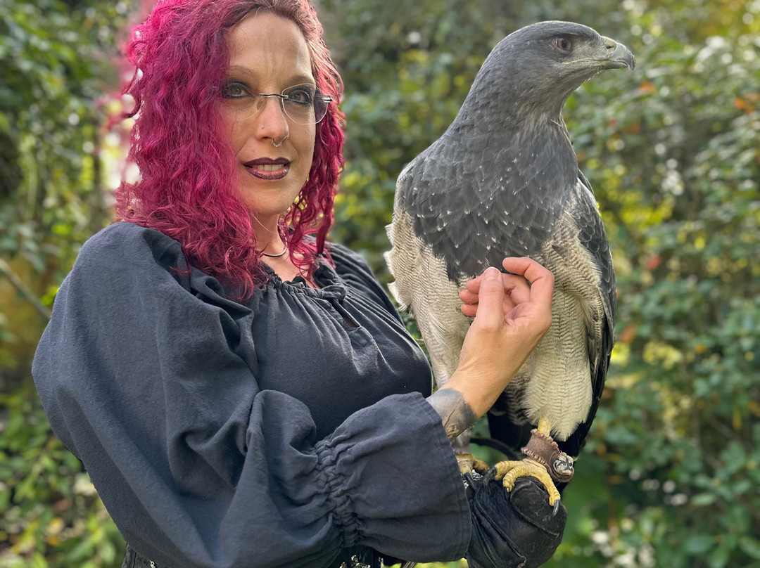 skyhunters in nature -frechen-Frechen必去景点