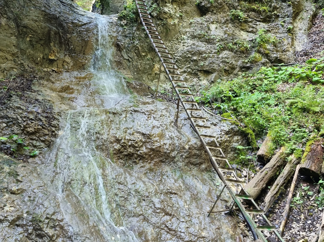 The Piecky Gorge-Hrabusice必去景点