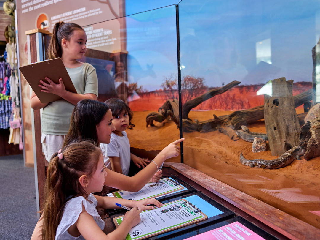 Cairns Koalas & Creatures-凯恩斯必去景点