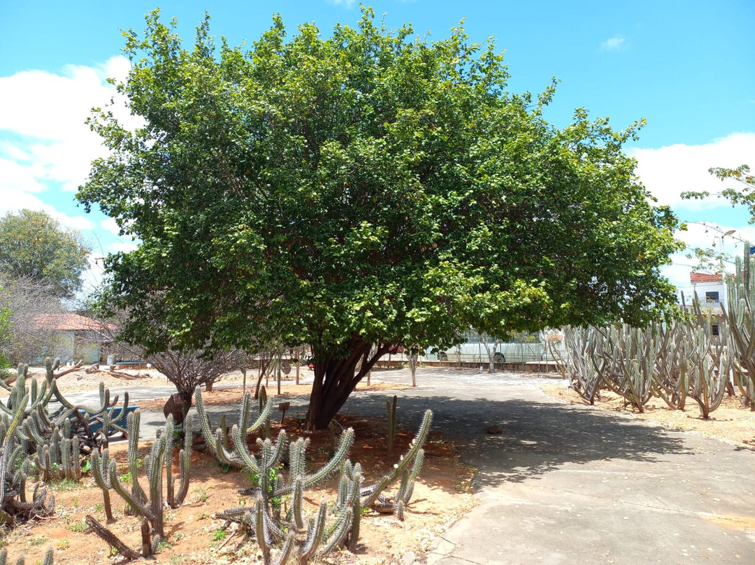 Parque Estadual de Canudos景点图片