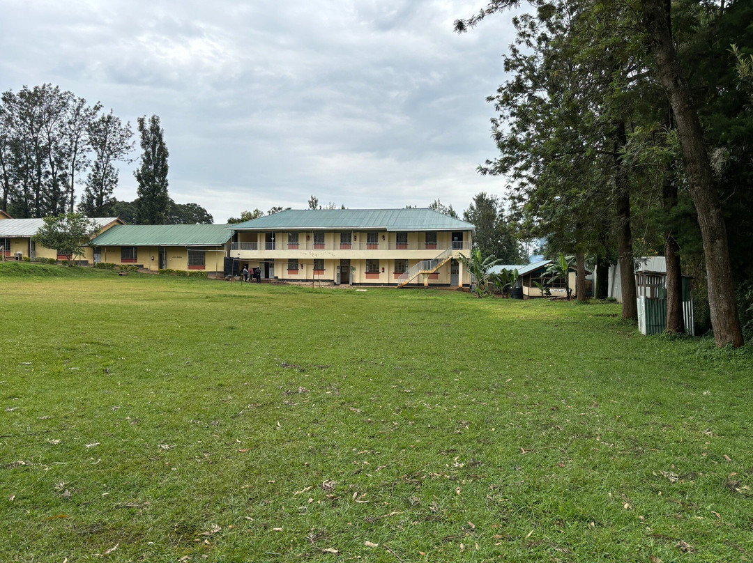 Mago Guesthouse主图