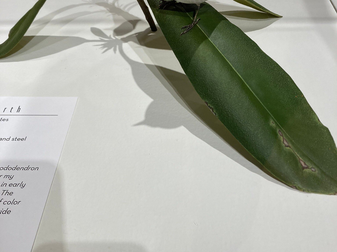 Leigh Yawkey Woodson Art Museum-Wausau必去景点