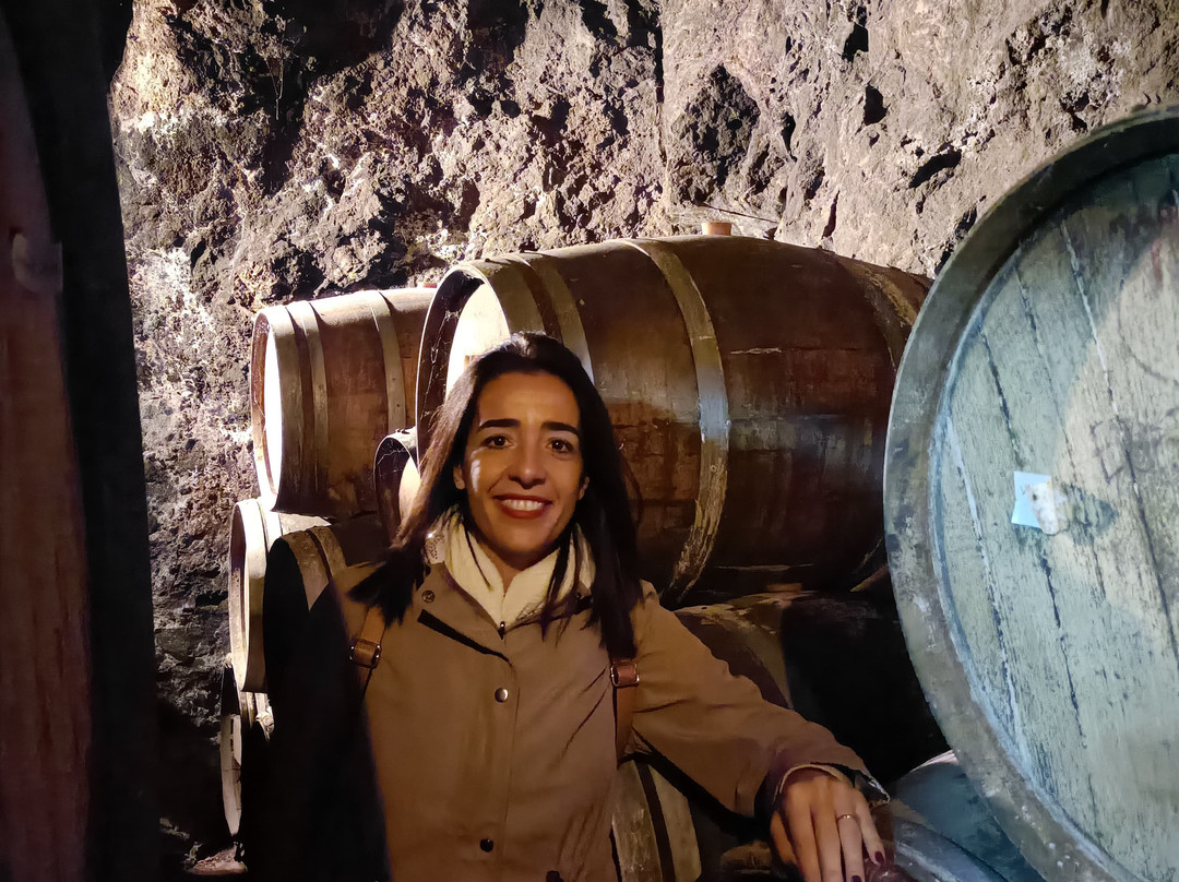 Bodega Vino Magnanimvs景点图片