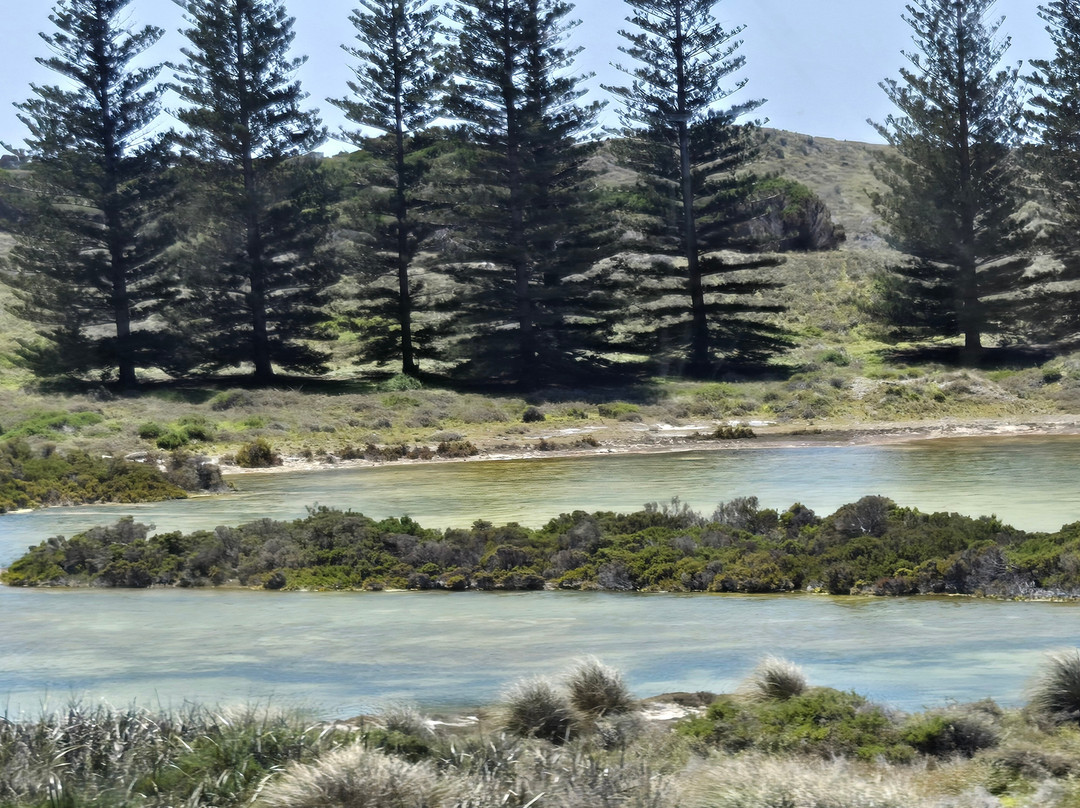 SeaLink Rottnest Island-弗里曼特尔必去景点