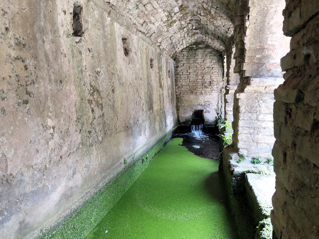 Fonte del Borgo景点图片